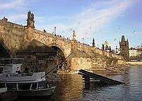 205px-Praha_Charels_bridge_from_Kampa_DSCN1151.JPG